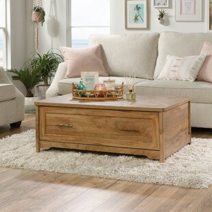 Coffee table with blanket shop storage